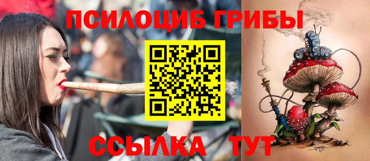 Галлюциногенные грибы GOLDEN TEACHER Ачхой-Мартан
