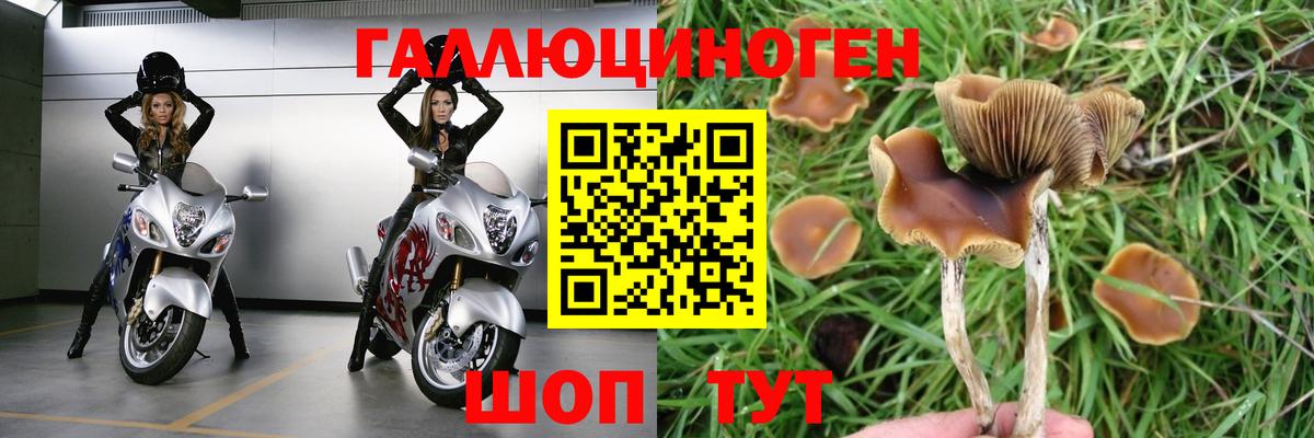 Галлюциногенные грибы MAGIC MUSHROOMS Ачхой-Мартан