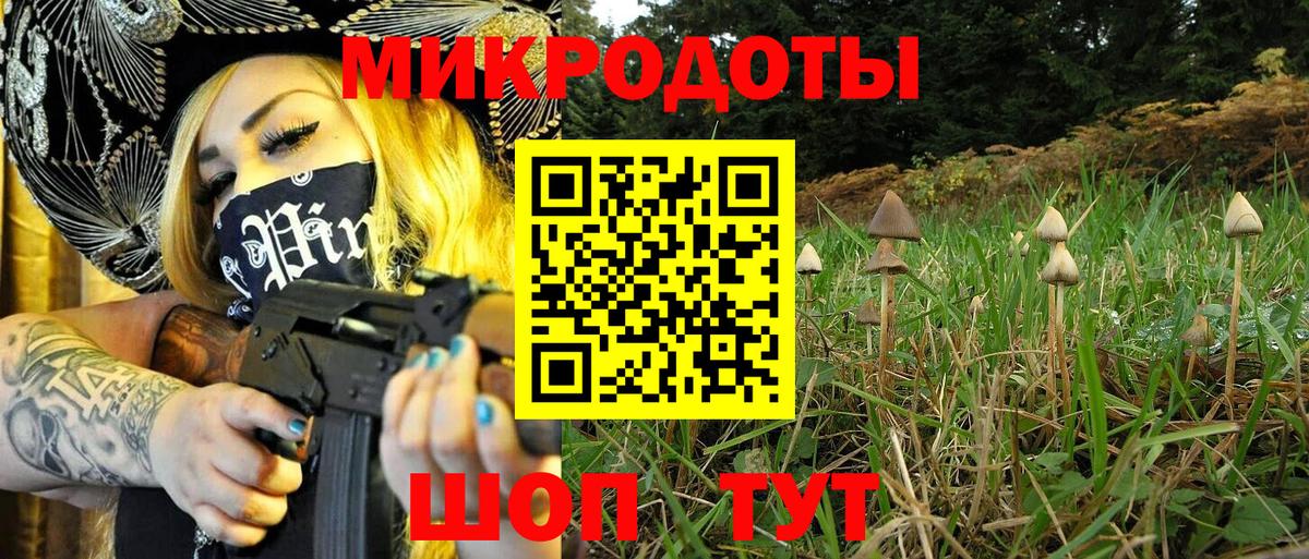 Псилоцибиновые грибы Magic Shrooms  Ачхой-Мартан 