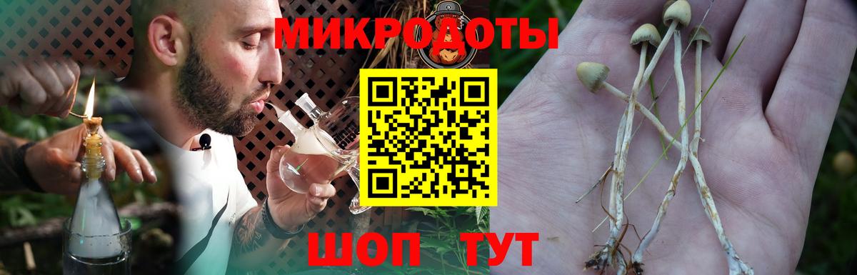 Псилоцибиновые грибы Cubensis  Вход с VPN  Псилоцибиновые грибы мухоморы  Ачхой-Мартан 